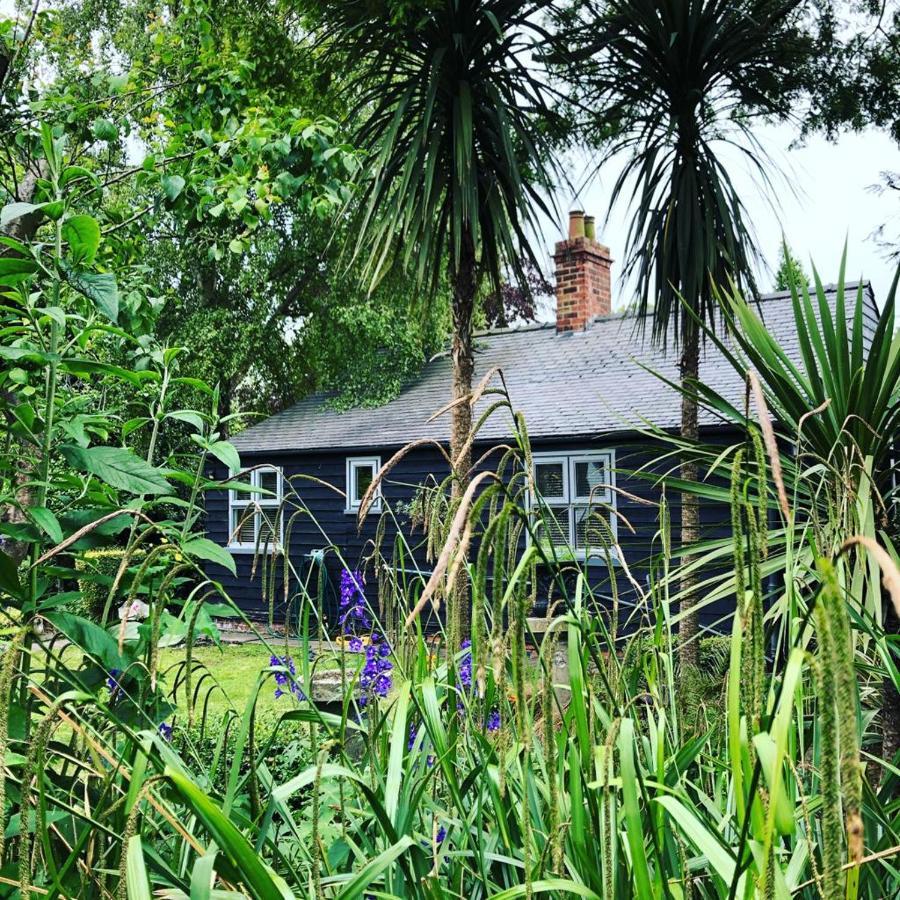 Thompsons Cottage Бевърли Екстериор снимка